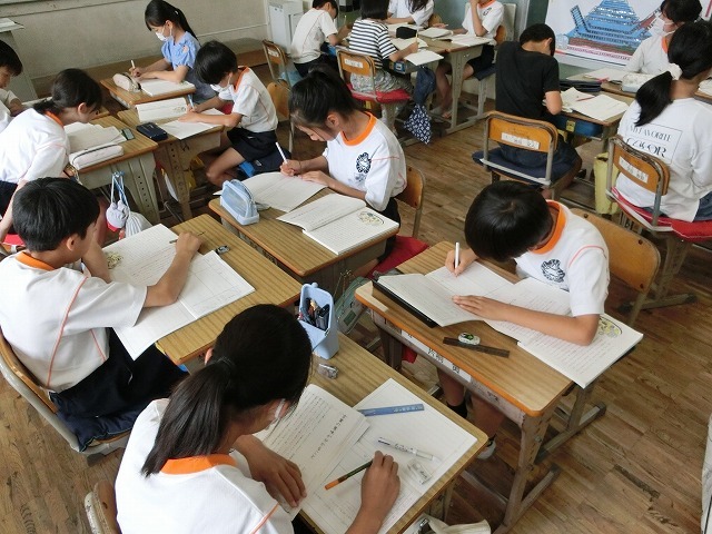 CIMG8776.jpg