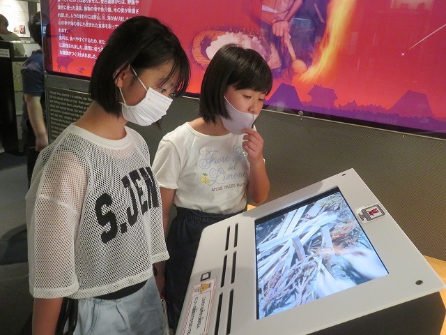 IMG_7618.jpg