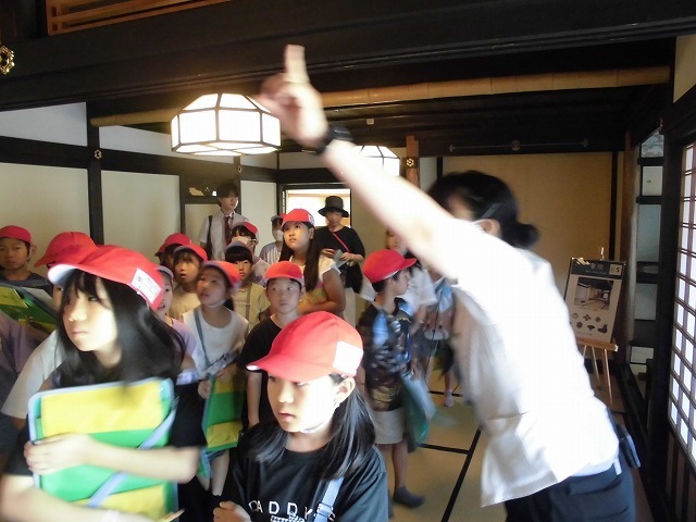CIMG0241.jpg