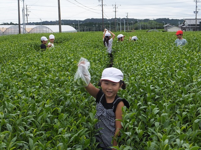 DSCF7194.jpg