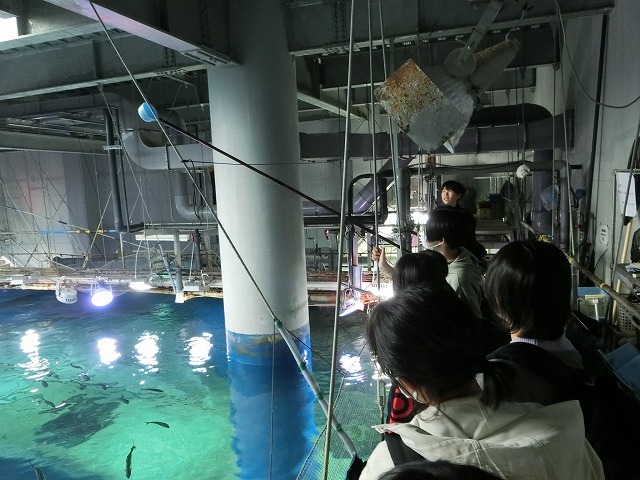 CIMG0054.jpg