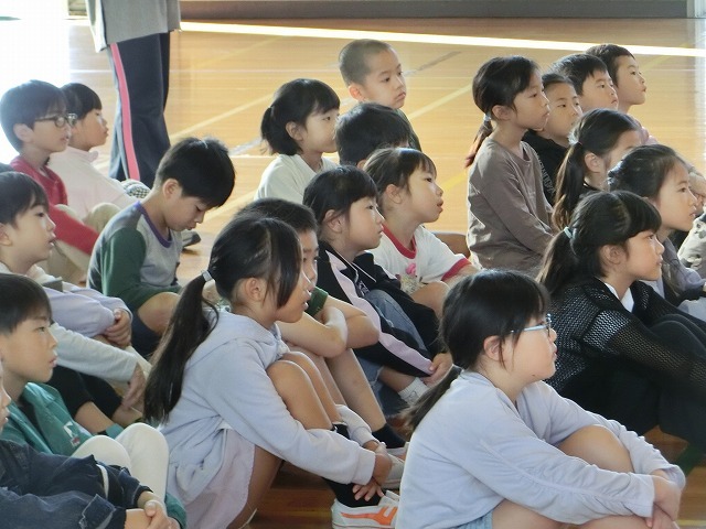 CIMG0074.jpg